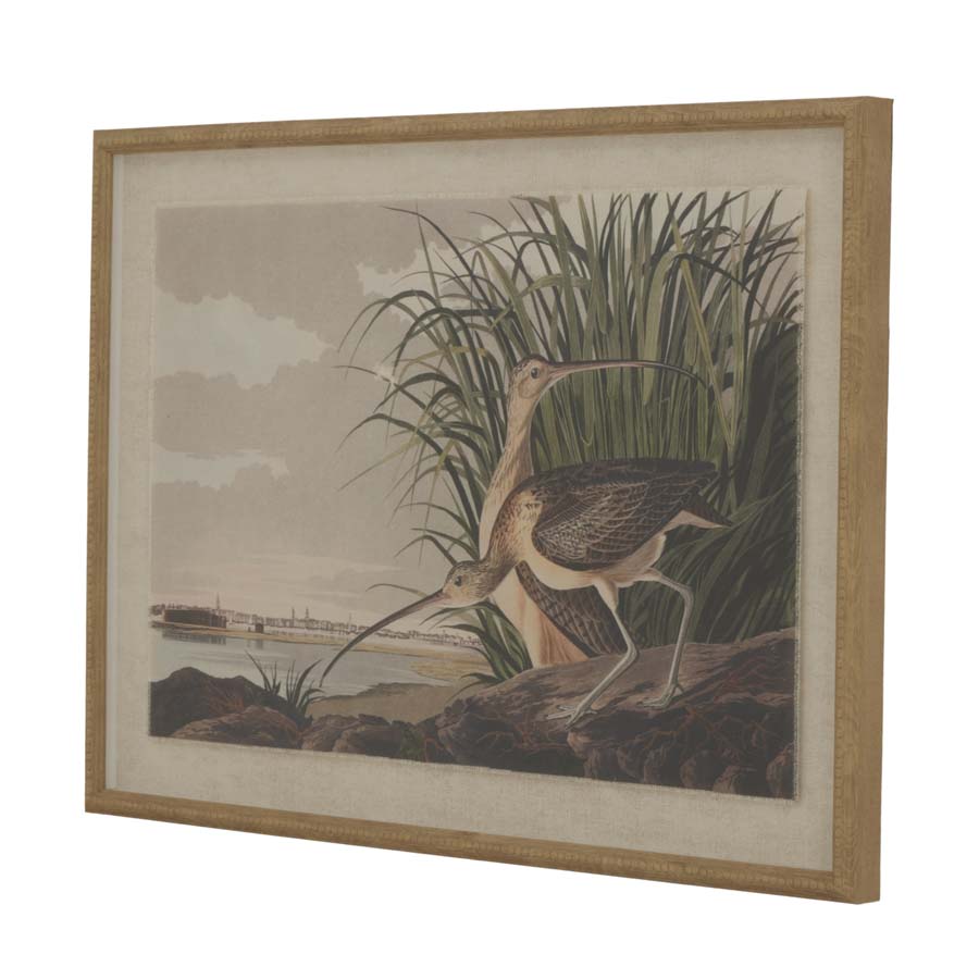 Hill Interiors Flora & Fauna Collection Curlews On Linen In Beaded Frame