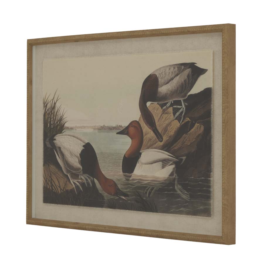 Hill Interiors Flora & Fauna Collection Pochards On Linen In Beaded Frame