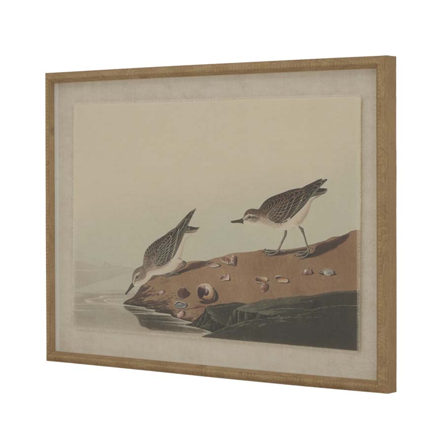 Hill Interiors  Flora & Fauna Collection Stints On Linen In Beaded Frame