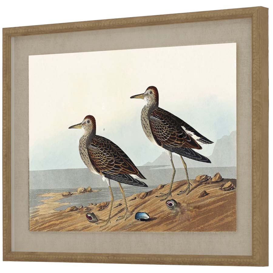 Hill Interiors Flora & Fauna Collection Sandpipers On Linen In Beaded Frame