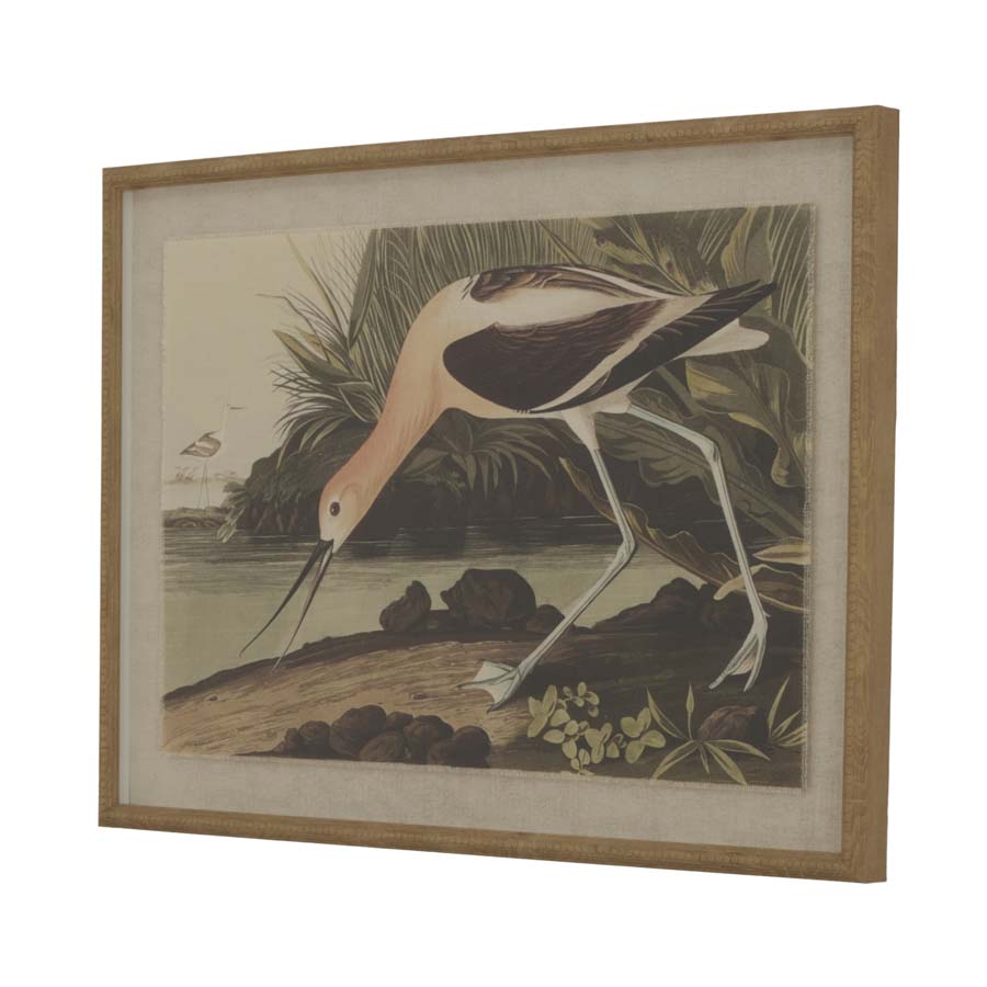 Hill Interiors Flora & Fauna Collection Avocet On Linen In Beaded Frame