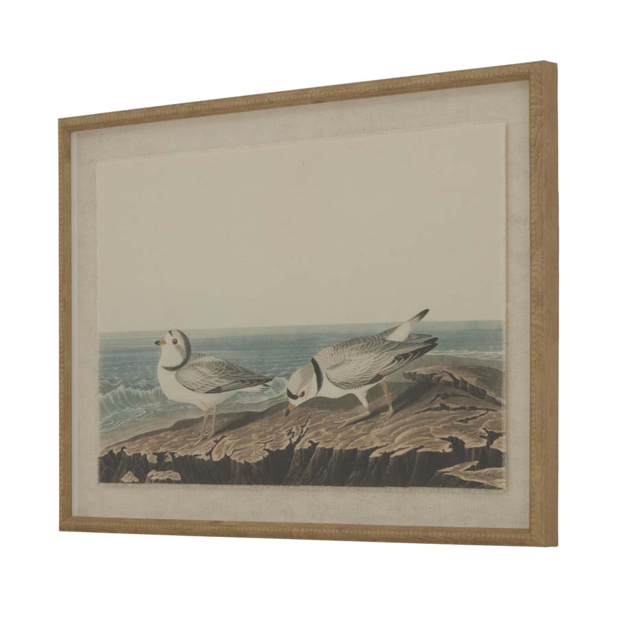 Hill Interiors Flora & Fauna Collection Plovers On Linen In Beaded Frame