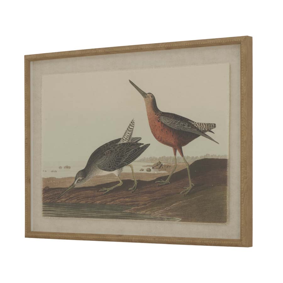 Hill Interiors Flora & Fauna Collection Snipes On Linen In Beaded Frame