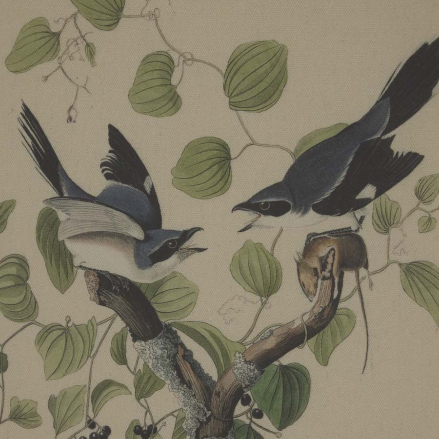 Hill Interiors Flora & Fauna Collection Shrikes On Linen In Beaded Frame