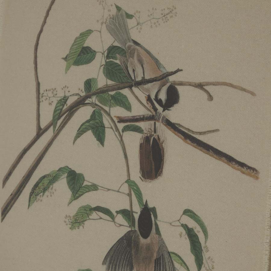 Hill Interiors Flora & Fauna Collection Chickadees On Linen In Beaded Frame
