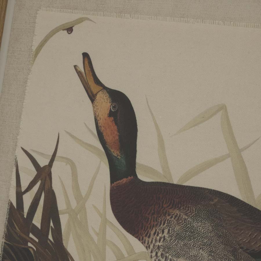 Hill Interiors Flora & Fauna Collection Duck On Linen In Beaded Frame