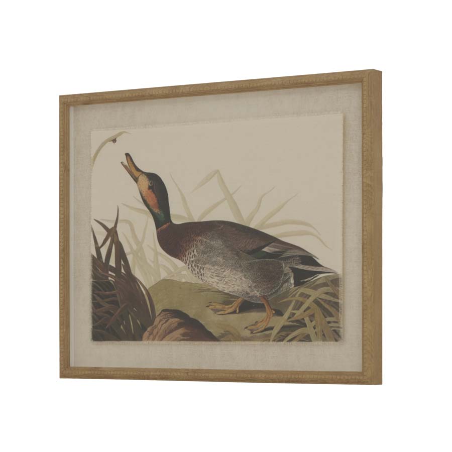 Hill Interiors Flora & Fauna Collection Duck On Linen In Beaded Frame