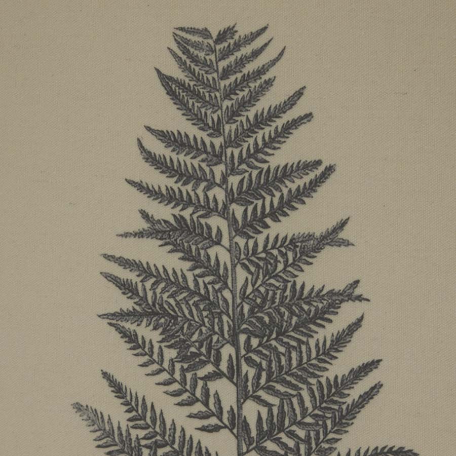 Hill Interiors Flora & Fauna Collection Beech Fern On Linen In Beaded Frame