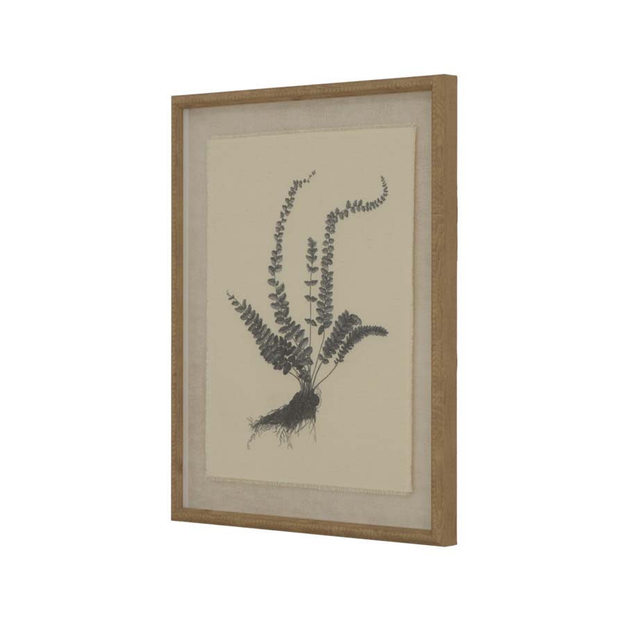 Hill Interiors Flora & Fauna Collection Spleenwort On Linen In Beaded Frame
