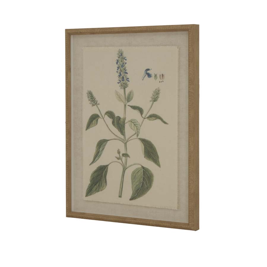 Hill Interiors Flora & Fauna Collection Salvia On Linen In Beaded Frame
