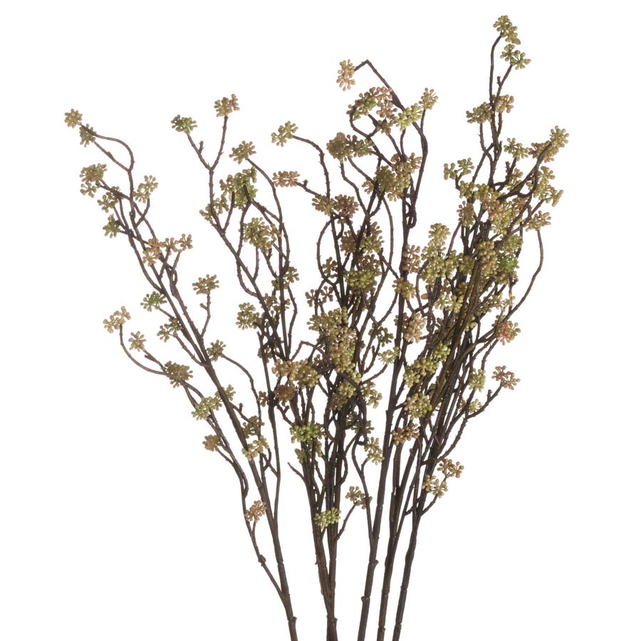 Hill Interiors Branch in Bloom Filler x 3 Stems