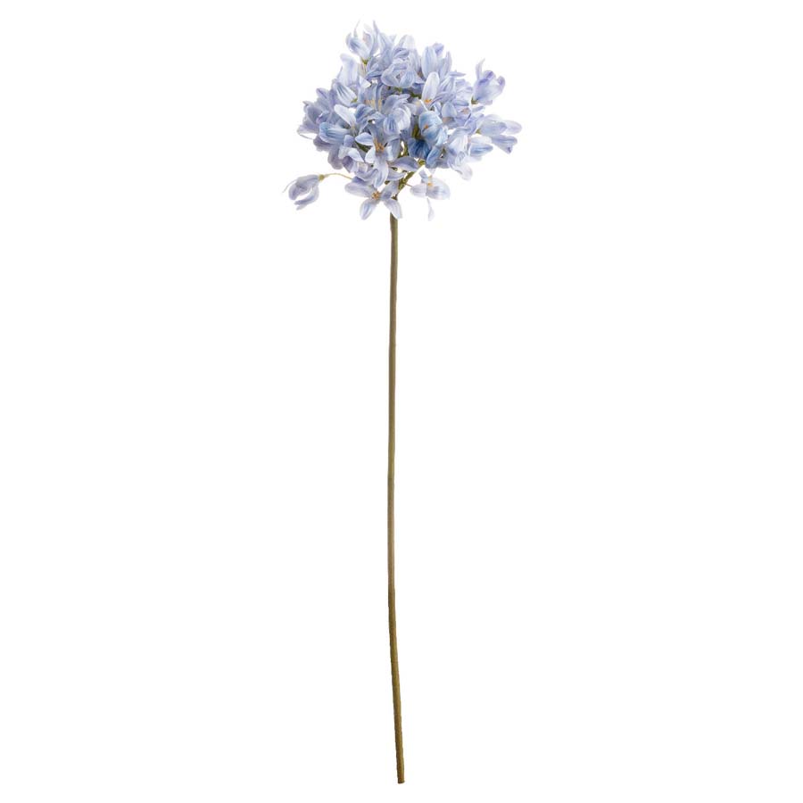 Hill Interiors Light Blue Large Headed Agapanthus x 3 Stems