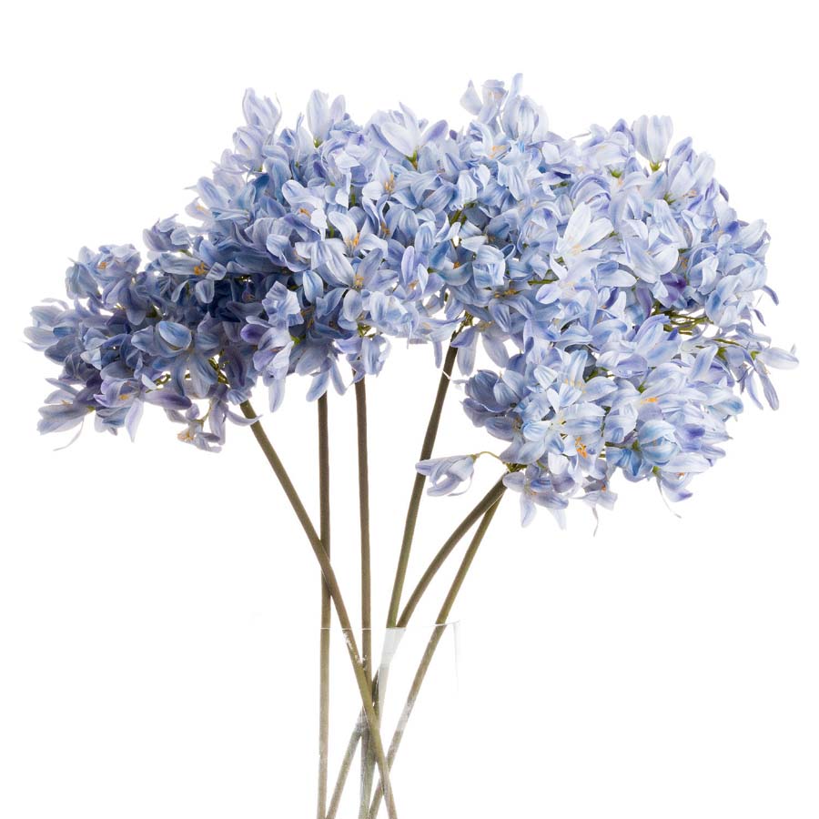 Hill Interiors Light Blue Large Headed Agapanthus x 3 Stems