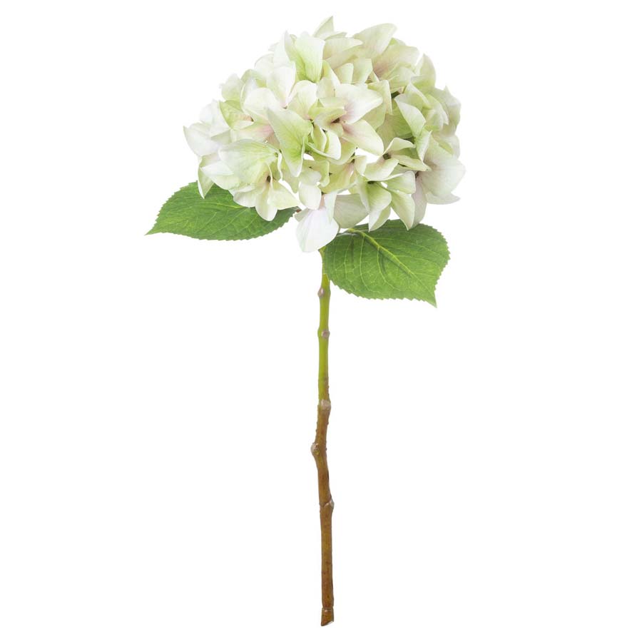 Hill Interiors Shabby Green Single Hydrangea x 3 Stems