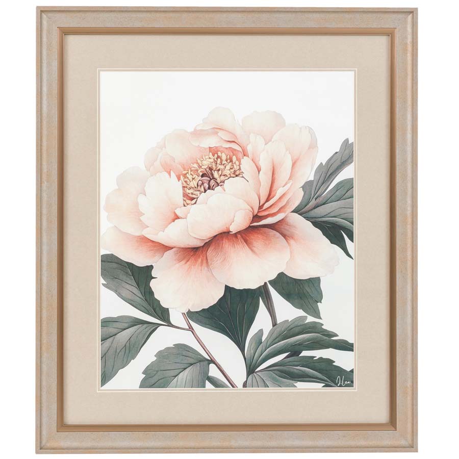 Art Marketing Peony Relection Framed Art By Joanne Lea