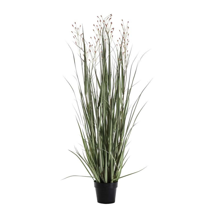 Gallery Interiors Potted Grass with Heads Green Russet Large