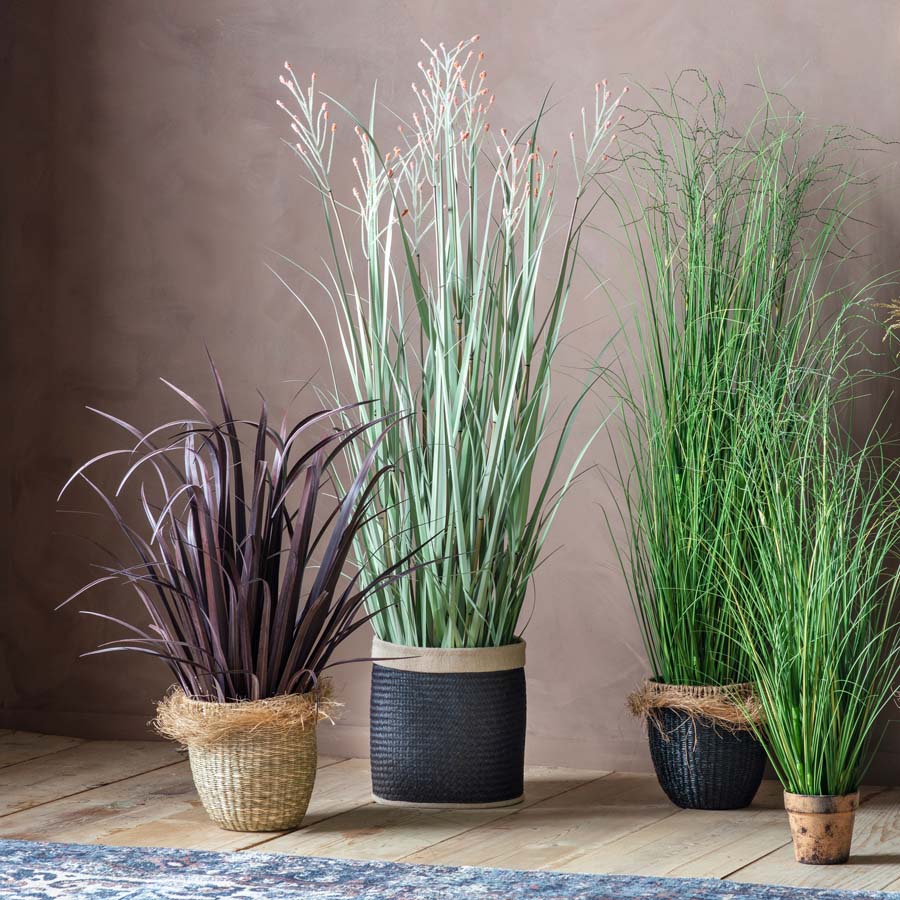 Gallery Interiors Potted Grass with Heads Green Russet Large
