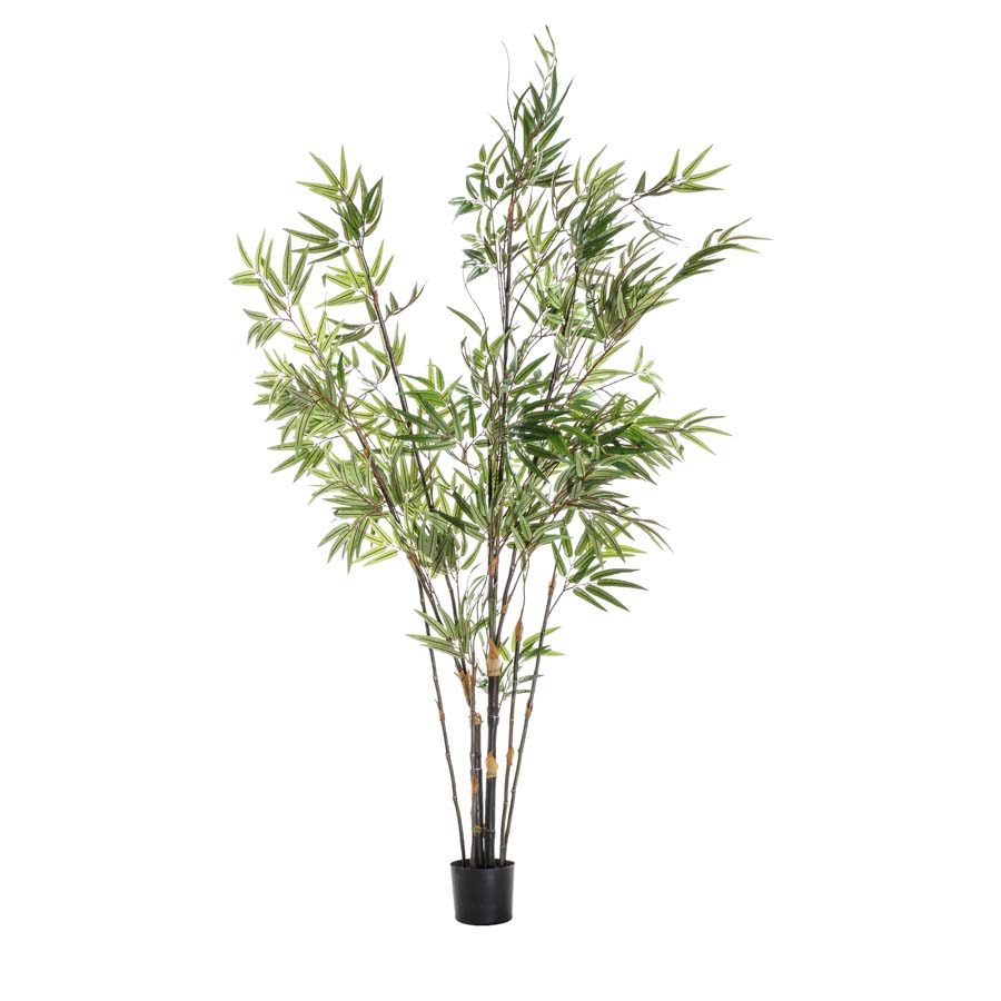 Gallery Interiors  Faux Bamboo Plant  With 859 Leaves