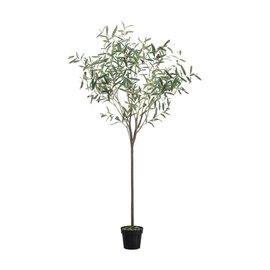 Gallery Interiors Olive Tree Green