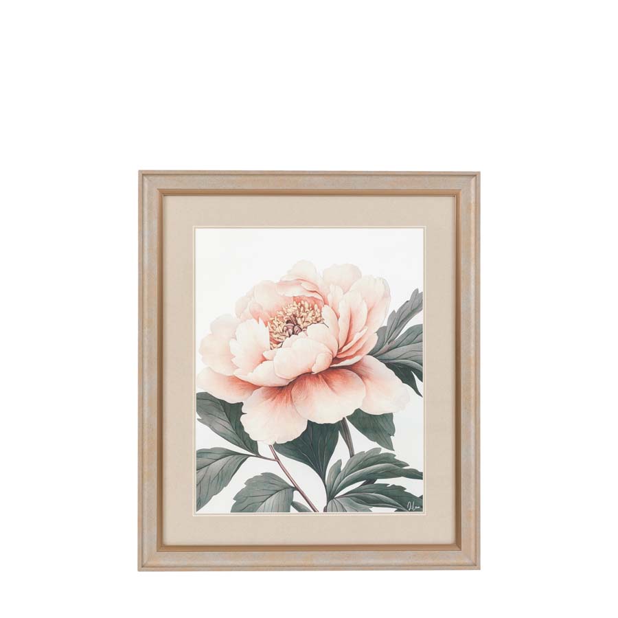 Art Marketing Peony Relection Framed Art By Joanne Lea