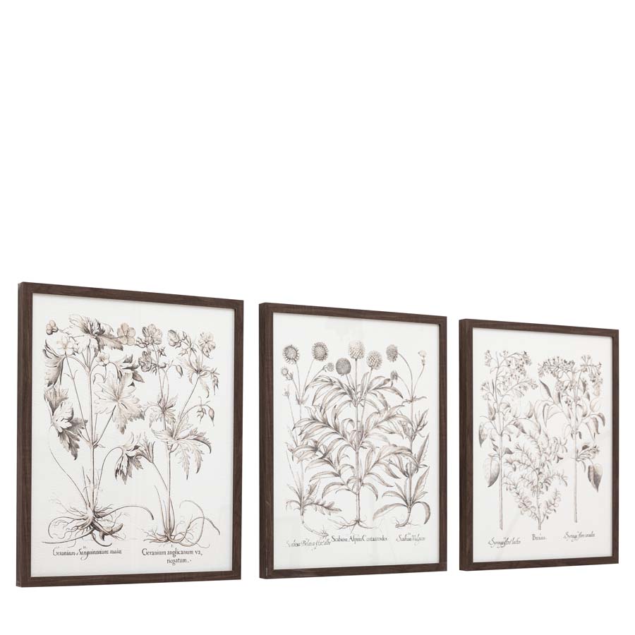 Gallery Interiors Evergreen Framed Art Set of 3