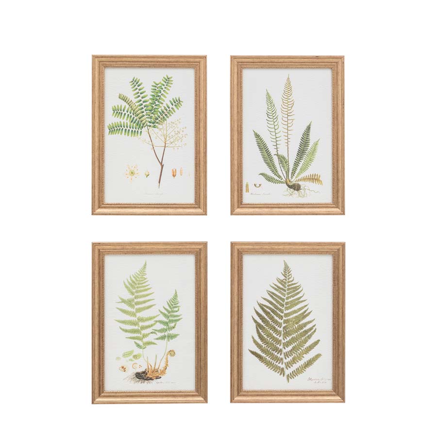 Gallery Interiors Assorted Ferns Framed Art Set of 4